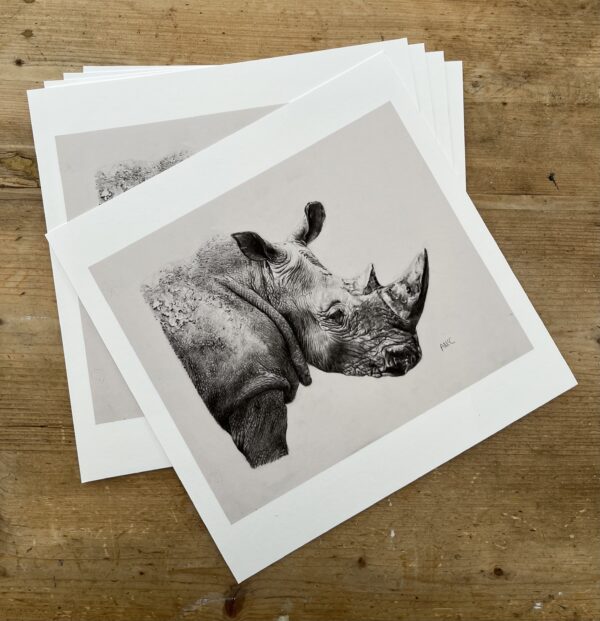 10" x 10"  Rhino Giclee Print - Image 2