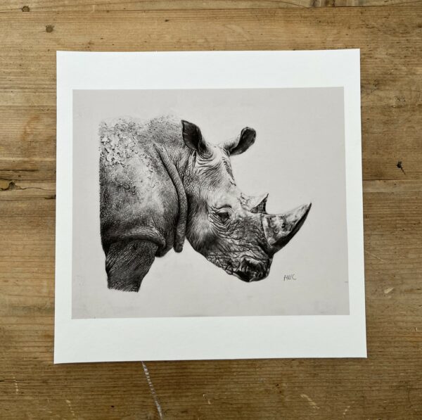 10" x 10"  Rhino Giclee Print