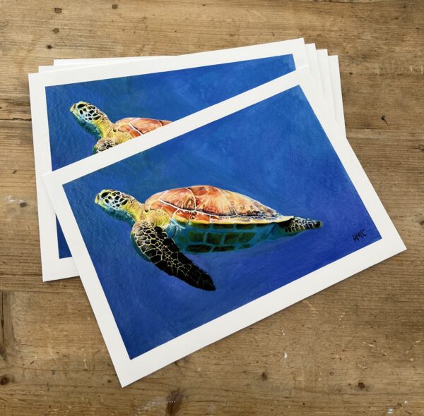 A4 Turtle Giclee Print - Image 2