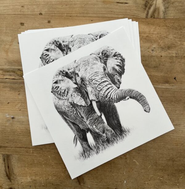 10" x 10" Elephant Giclee Print - Image 2