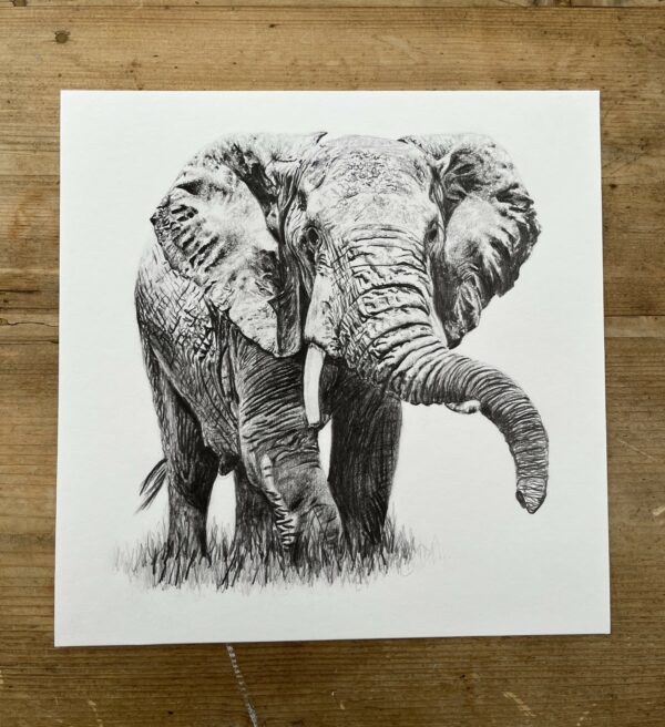 10" x 10" Elephant Giclee Print