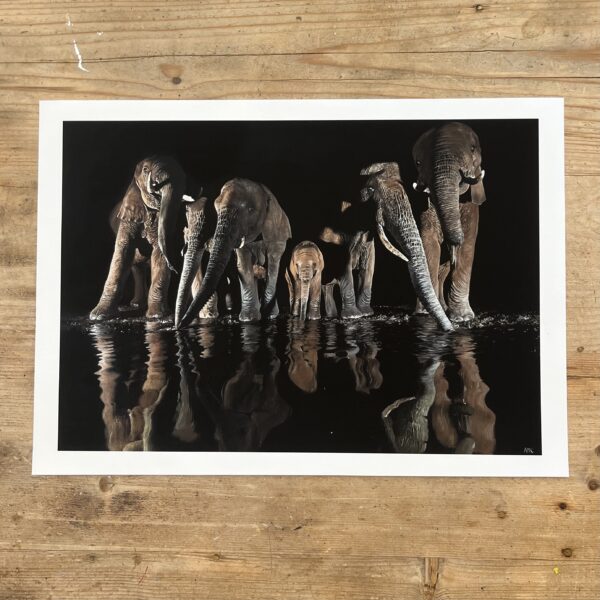 Elephant Reflection - 2023 Limited Edition A3 Giclee Print