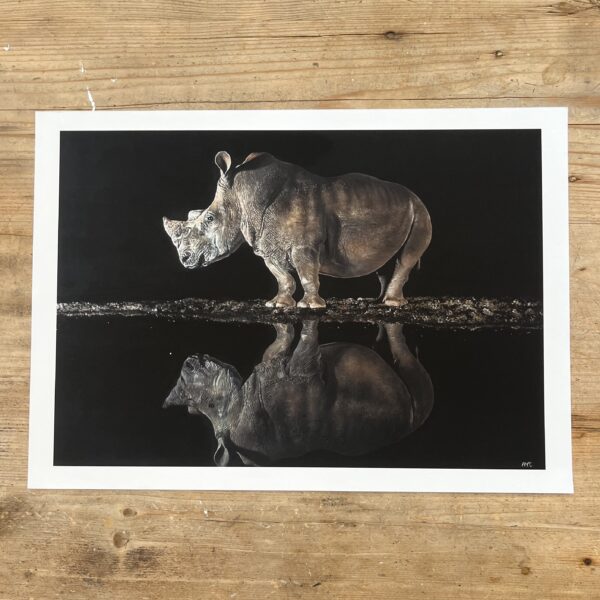 Rhino Reflection - 2023 Limited Edition A3 Giclee Print